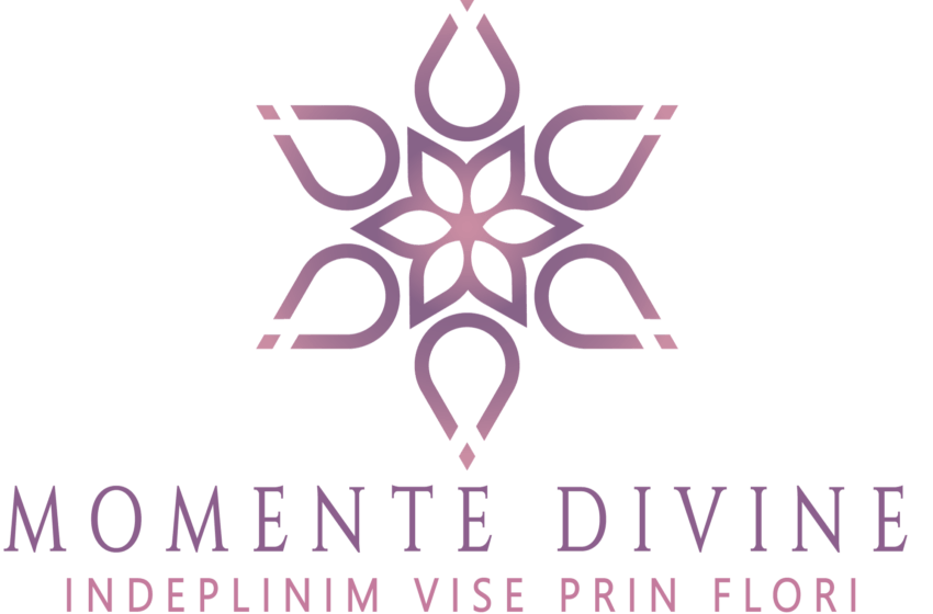 donor violet finish Momente Divine - Servicii complete de organizare evenimente - GorjBiz -  Sursa ta de business din Gorj