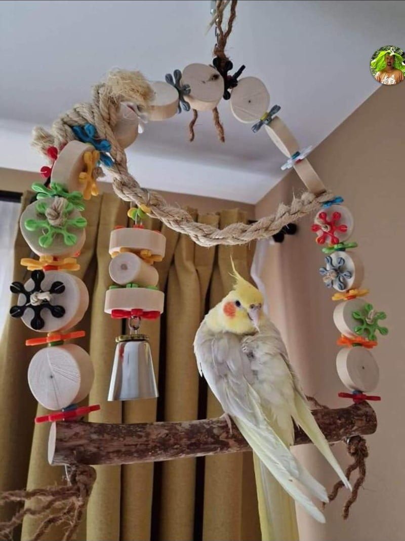 jucarii-papagali