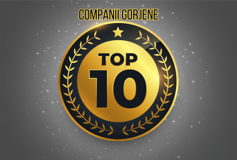  Topul primelor 10 firme din Gorj: Diversitate și Performanță în Lumea Afacerilor