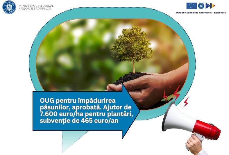  Ajutor de 7.600 euro/ha pentru împăduriri, subvenție de 465 euro/an