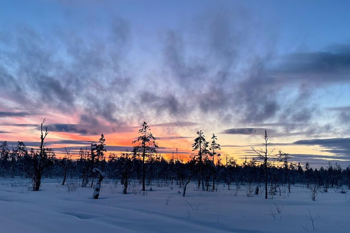 ghid-montan-gorjean-in-Laponia