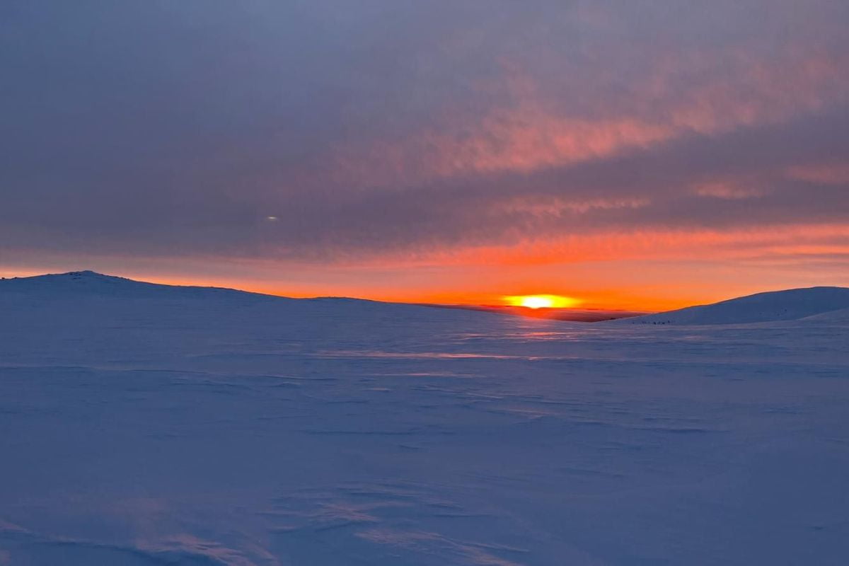 ghid-montan-gorjean-in-Laponia