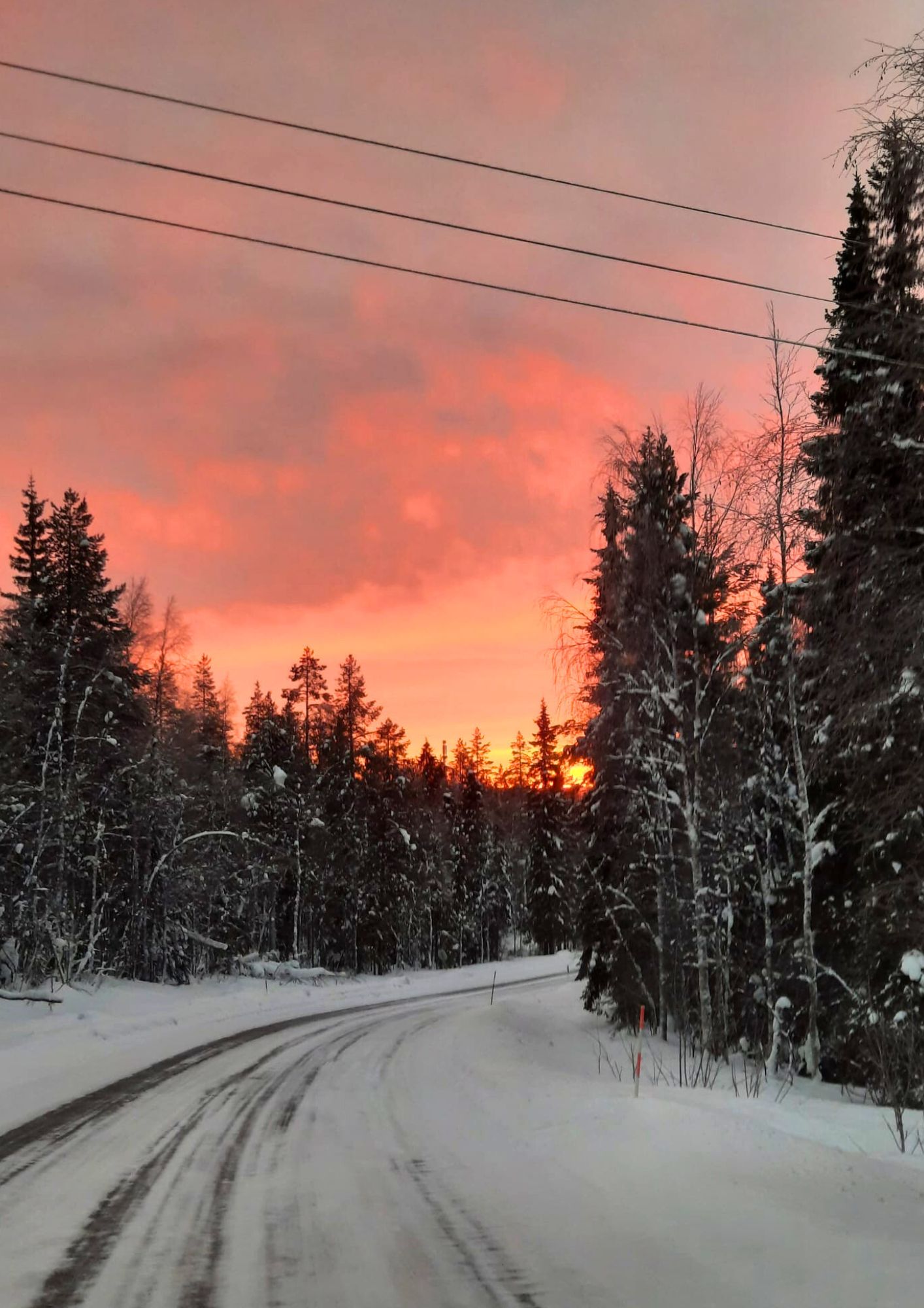 ghid-montan-gorjean-in-Laponia